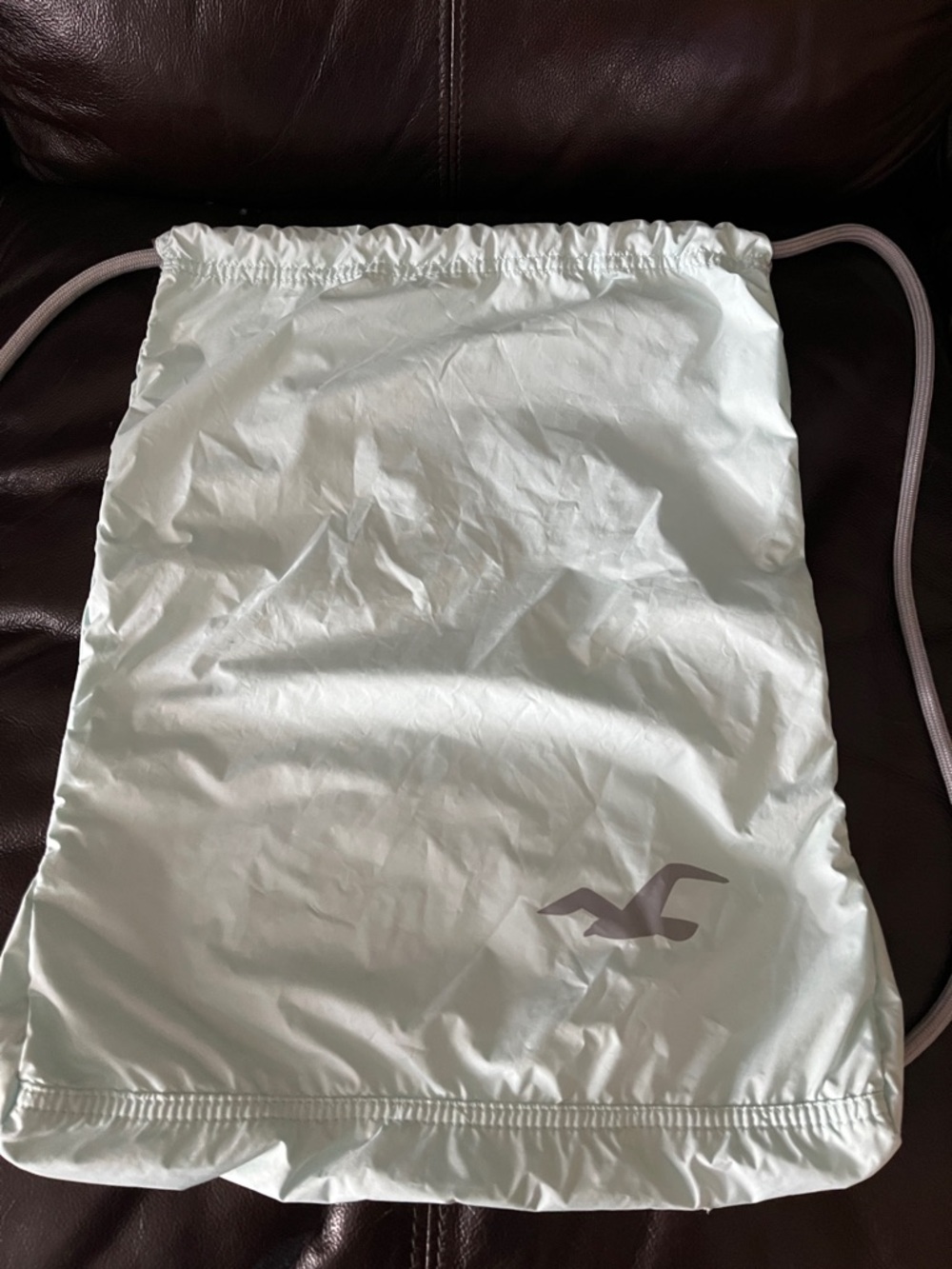 Hollister Mint Green Drawstring Logo Backpack